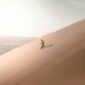 free photo of man sliding on desert dune 85x85